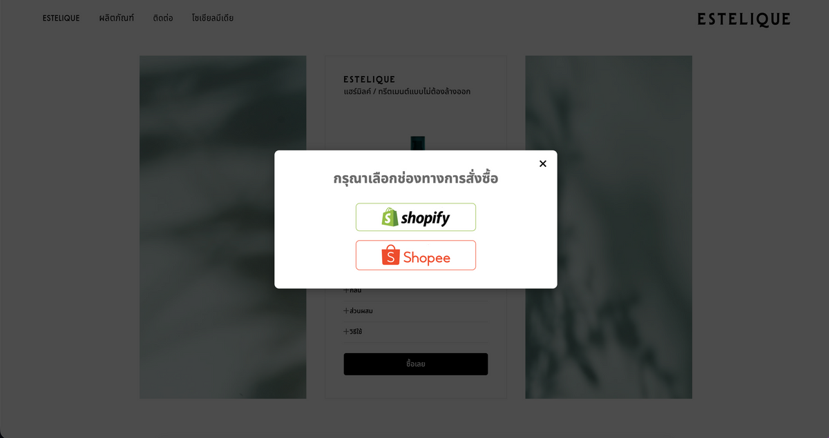 越境ECサイト構築（タイ・東南アジア）